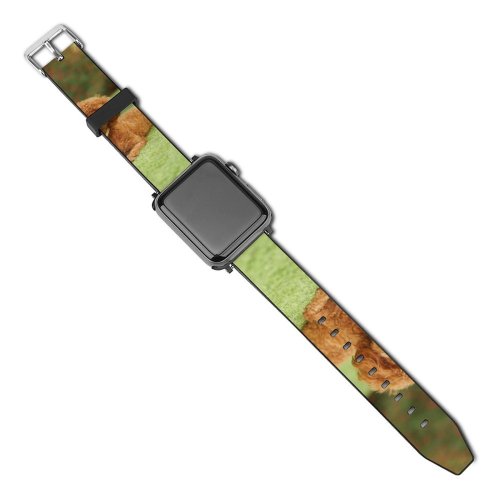 yanfind Watch Strap for Apple Watch Cutie Poodle Grass Garden Dog Plant Redhead Free Happy Wallpapers Puppies Compatible with iWatch Series 5 4 3 2 1