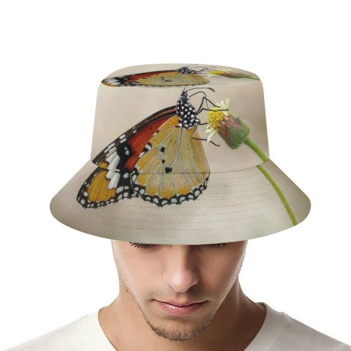 yanfind Adult Fisherman's Hat Petals Images Pretty Insect Spring Wing Underside Wildlife Wallpapers Outdoors Serenity Summer Fishing Fisherman Cap Travel Beach Sun protection