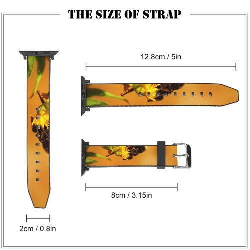 yanfind Watch Strap for Apple Watch Apidae Images Honey Bumblebee Plant Pollen Insect Pictures Invertebrate Photo Free Compatible with iWatch Series 5 4 3 2 1