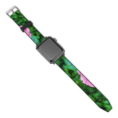 yanfind Watch Strap for Apple Watch Wallpapers Flower Rose Ankara Magenta Plant  Creative Images Türkiye Commons Compatible with iWatch Series 5 4 3 2 1