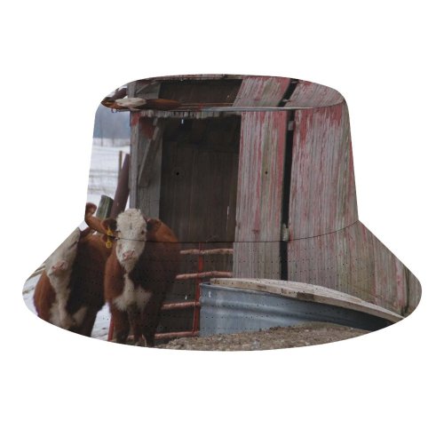 yanfind Adult Fisherman's Hat Rural Barn Farm Bovine Fence Barn Wood Winter Area Cow Snout Calf Fishing Fisherman Cap Travel Beach Sun protection