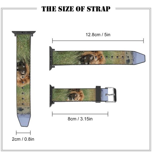 yanfind Watch Strap for Apple Watch Images Tanzania Free Wildlife Pictures Lion Serengeti Compatible with iWatch Series 5 4 3 2 1