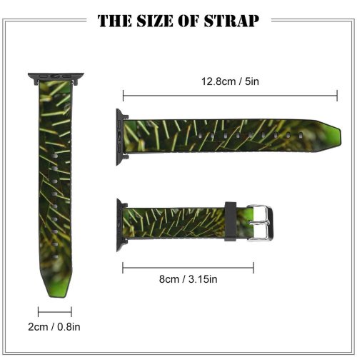 yanfind Watch Strap for Apple Watch Abies Pine Plant Domain Flowerdone Spruce Joy Pictures Tree  Fir Compatible with iWatch Series 5 4 3 2 1
