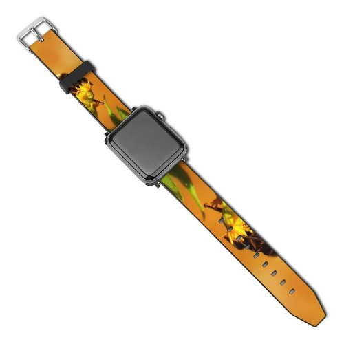yanfind Watch Strap for Apple Watch Apidae Images Honey Bumblebee Plant Pollen Insect Pictures Invertebrate Photo Free Compatible with iWatch Series 5 4 3 2 1