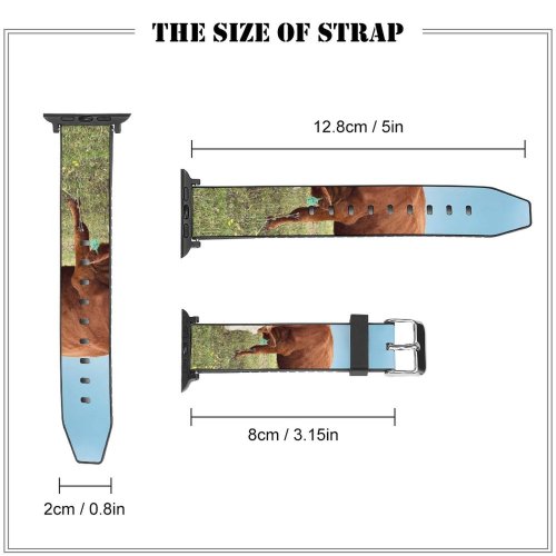 yanfind Watch Strap for Apple Watch United Rural Countryside National Wilderness Creative Forests Pasture Jefferson Sustainability Farm Compatible with iWatch Series 5 4 3 2 1