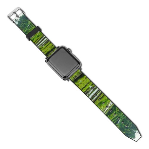 yanfind Watch Strap for Apple Watch Countryside Plant Domain Rice Pictures Grassland Outdoors Jungle Vegetation Birds Bali Compatible with iWatch Series 5 4 3 2 1
