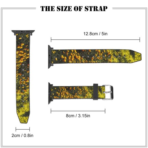 yanfind Watch Strap for Apple Watch Rural Countryside Plant Flores Farm Amarillas PNG Grassland Outdoors Daisies Flowers Compatible with iWatch Series 5 4 3 2 1
