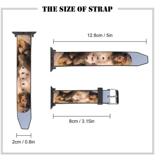 yanfind Watch Strap for Apple Watch Images Wildlife Pictures Nepal Free Swayambhunath Monkey Baboon Compatible with iWatch Series 5 4 3 2 1