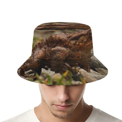 yanfind Adult Fisherman's Hat Relaxing Images Me Go Frog Toad Grumpy Public Lizard Wildlife Reptile Away Fishing Fisherman Cap Travel Beach Sun protection