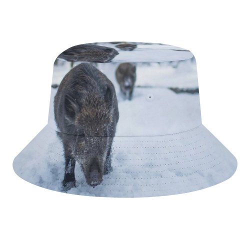 yanfind Adult Fisherman's Hat Images Hog Wildlife Wallpapers Grey Pictures Pig Dog Boar Pet Bear Free Fishing Fisherman Cap Travel Beach Sun protection