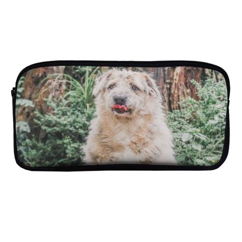 yanfind Pencil Case YHO Lovely Images Pet Wallpapers Plant Outdoors Pictures Creative Grey Dog Commons Zipper Pens Pouch Bag for Student Office School