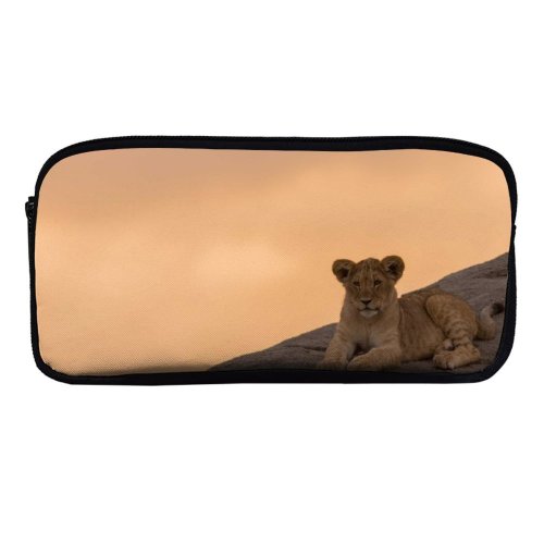 yanfind Pencil Case YHO Sunset Images Lion Wildlife Wallpapers Pictures Public Cub Domain Zipper Pens Pouch Bag for Student Office School