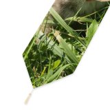 Yanfind Table Runner Young Grass Pet Funny Outdoors Portrait Dog Cute Little Adorable Sit Cat Everyday Dining Wedding Party Holiday Home Decor