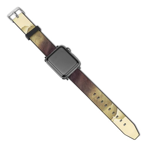 yanfind Watch Strap for Apple Watch Trey Ratcliff Southern Alps Zealand Aerial  Peak Glacial Snow Compatible with iWatch Series 5 4 3 2 1