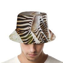 yanfind Adult Fisherman's Hat Sunny Images Tail Wildlife Wallpapers Grey Zebra Pictures PNG HQ Fishing Fisherman Cap Travel Beach Sun protection