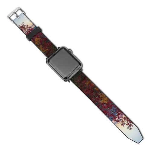 yanfind Watch Strap for Apple Watch Abies Natural Area Lake Tree Hills Scenic Plant Leaf Fir Free Compatible with iWatch Series 5 4 3 2 1