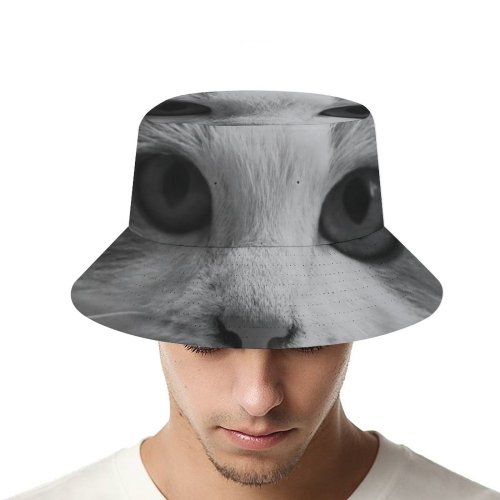 yanfind Adult Fisherman's Hat Lovely Images Pet Manx Kids Siamese Wallpapers Pictures Angora Creative Pussy Cat Fishing Fisherman Cap Travel Beach Sun protection