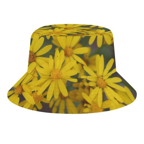 yanfind Adult Fisherman's Hat Images Spring Petal Aster Wallpapers Plant Asteraceae Pollen Free Pictures Daisy Flower Fishing Fisherman Cap Travel Beach Sun protection