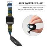 yanfind Watch Strap for Apple Watch Mount Rainier Eunice Lake Landscape Sky  Mountains Snow Covered Trees Clear Compatible with iWatch Series 5 4 3 2 1