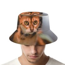 yanfind Adult Fisherman's Hat Lovely Images Pet Manx Public Wuhan Wallpapers Abyssinian Pictures Cat China Kitten Fishing Fisherman Cap Travel Beach Sun protection