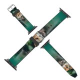 yanfind Watch Strap for Apple Watch Funny Curiosity Cute  Pretty  Staring Tabby Pet Whisker Fur Portrait Compatible with iWatch Series 5 4 3 2 1