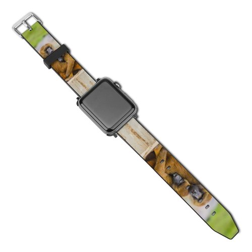 yanfind Watch Strap for Apple Watch Uyuni Guinea  Cercopithecidae Birds Primate Images Monkey Africa Grooming Free Compatible with iWatch Series 5 4 3 2 1