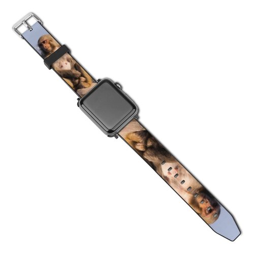 yanfind Watch Strap for Apple Watch Images Wildlife Pictures Nepal Free Swayambhunath Monkey Baboon Compatible with iWatch Series 5 4 3 2 1