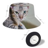 yanfind Adult Fisherman's Hat Lovely Images Pet Manx Public Wallpapers Abyssinian Phnom Cambodia Pictures Chair Room Fishing Fisherman Cap Travel Beach Sun protection
