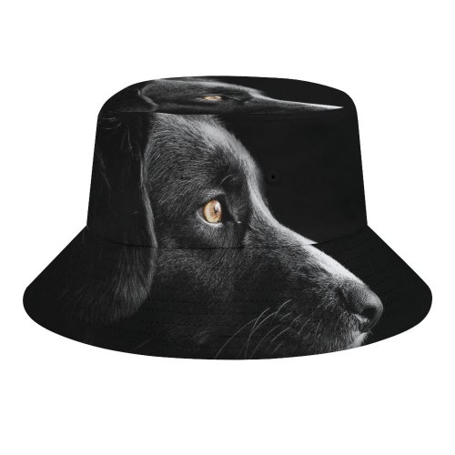yanfind Adult Fisherman's Hat Randy Rodriguez Black Dark Dog Cute Puppies Dark AMOLED Fishing Fisherman Cap Travel Beach Sun protection