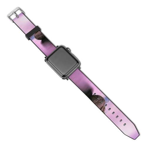 yanfind Watch Strap for Apple Watch Tom Gainor Lake Tahoe United States America Sky Rock Exposure  Range Compatible with iWatch Series 5 4 3 2 1