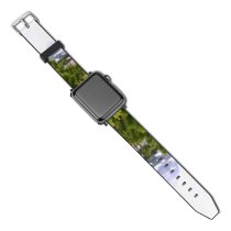 yanfind Watch Strap for Apple Watch Abies Pine Plant Pictures PNG Tree Fir Rila Leaves Malyovitsa Hiking Compatible with iWatch Series 5 4 3 2 1