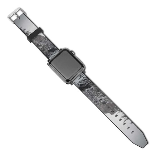 yanfind Watch Strap for Apple Watch D'isère Abies Pine Plant Creative Spruce Pictures Outdoors Grey Tree Val Compatible with iWatch Series 5 4 3 2 1