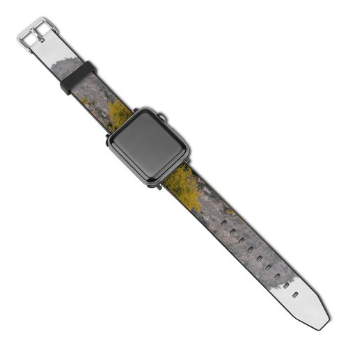yanfind Watch Strap for Apple Watch Abies Plant Domain Pictures Outdoors Grey Tree Fir Berchtesgaden Public Conifer Compatible with iWatch Series 5 4 3 2 1
