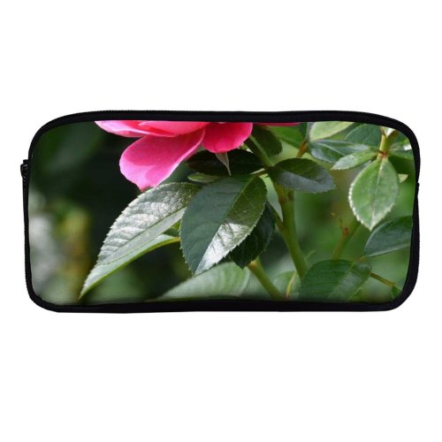 yanfind Pencil Case YHO Poznań Petals Images Rose Floral Flora Petal Peony Flowers Wallpapers Plant Polska Zipper Pens Pouch Bag for Student Office School
