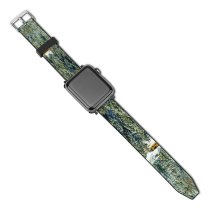 yanfind Watch Strap for Apple Watch Abies Pine Plant Creative Spruce Pictures Outdoors Tree Fir Conifer Images Compatible with iWatch Series 5 4 3 2 1