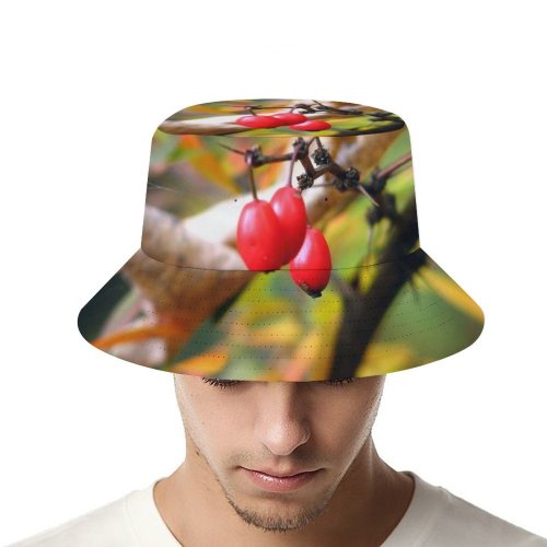 yanfind Adult Fisherman's Hat Whipple Berry Autumn Berry Fruit Canina Leaves Plant Rosa Dam Bush Hip Fishing Fisherman Cap Travel Beach Sun protection