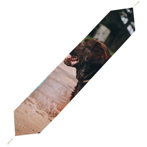 Yanfind Table Runner Dog Pool Pet Wallpapers Free Pictures Hound Images Everyday Dining Wedding Party Holiday Home Decor