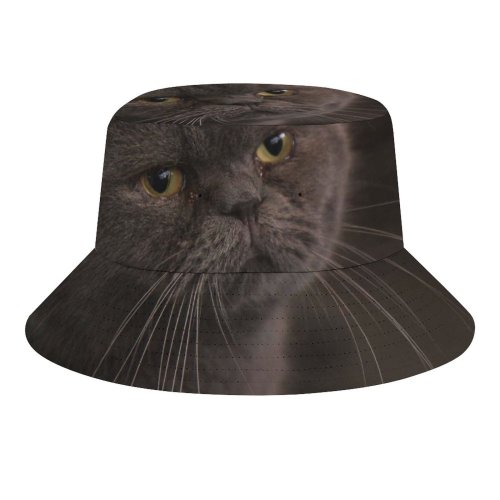 yanfind Adult Fisherman's Hat Lovely Images Pet Cafe Manx Wallpapers Closeup Stock Free Pictures Cat Grey Fishing Fisherman Cap Travel Beach Sun protection