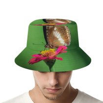 yanfind Adult Fisherman's Hat Petals Images Pretty Insect Spring Wing Public Underside Wildlife Wallpapers Plant Pollen Fishing Fisherman Cap Travel Beach Sun protection
