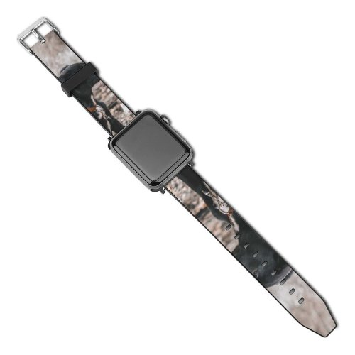 yanfind Watch Strap for Apple Watch United Pet Utah Pictures Grey Free Birds Dog States Images Wallpapers Compatible with iWatch Series 5 4 3 2 1