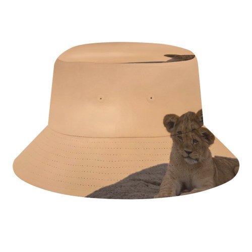 yanfind Adult Fisherman's Hat Sunset Images Lion Wildlife Wallpapers Pictures Public Cub Domain Fishing Fisherman Cap Travel Beach Sun protection