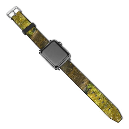 yanfind Watch Strap for Apple Watch Path Street Fall Colours Leave Leaves Autumn  Rays Sunlight Tree Natural Compatible with iWatch Series 5 4 3 2 1