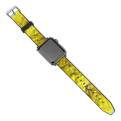 yanfind Watch Strap for Apple Watch Tree Tropical Tabasco Mexico Flower Plant Mimosa Woody Spring Flowering Subshrub Goldenrod Compatible with iWatch Series 5 4 3 2 1