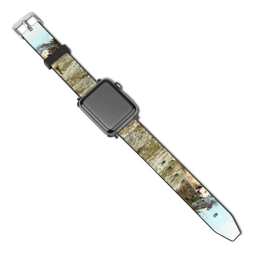 yanfind Watch Strap for Apple Watch Tree  Plants Flowers Wood Walk Hill Foliage Dog Stone Wall Golden Compatible with iWatch Series 5 4 3 2 1