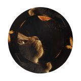 yanfind Adult Fisherman's Hat Chiara Lily Black Dark Kitten Cat Butterflies Glowing Manipulation Closeup Fishing Fisherman Cap Travel Beach Sun protection