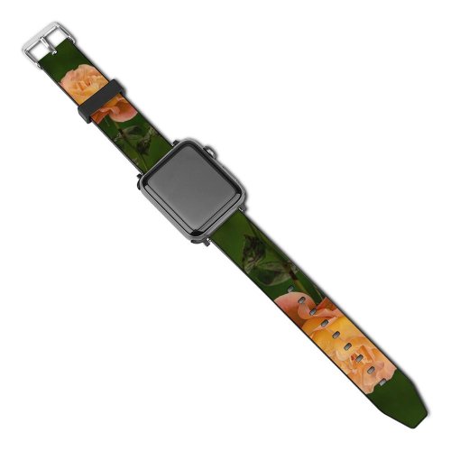 yanfind Watch Strap for Apple Watch Free Flower Petal Rose Plant  Luton Acanthaceae Uk Images Leaf Compatible with iWatch Series 5 4 3 2 1