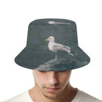 yanfind Adult Fisherman's Hat Shoreline Images Feathers Shore Seagull Wild Bill Wallpapers Sea Wildlife Stock Free Fishing Fisherman Cap Travel Beach Sun protection