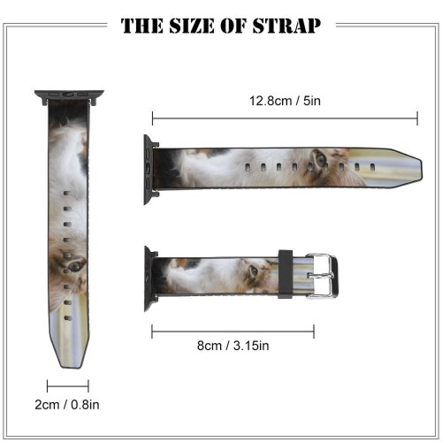 yanfind Watch Strap for Apple Watch Funny Curiosity Sit Little Young  Kitten Whisker Downy Fur Portrait Compatible with iWatch Series 5 4 3 2 1