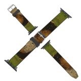yanfind Watch Strap for Apple Watch Rey Leon Lion Rest Descanso King Felino Vertebrate Masai Felidae Wildlife Big Compatible with iWatch Series 5 4 3 2 1