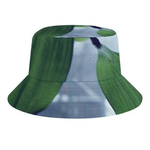yanfind Adult Fisherman's Hat Winter Solomon's Stem Leaves Plant Valley Petal Flower Flowering Leaf Leaf Lily Fishing Fisherman Cap Travel Beach Sun protection